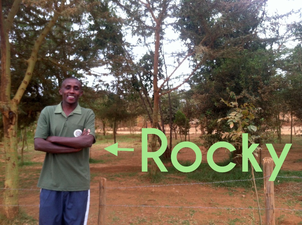 Rocky Muuri